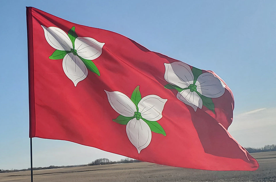 Ealdormere Populace Flag 52" x 30" 100% Habotai Silk