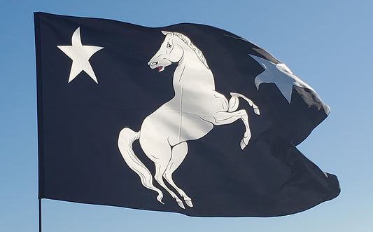 Meridies Populace Flag 52" x 30" 100% Habotai Silk