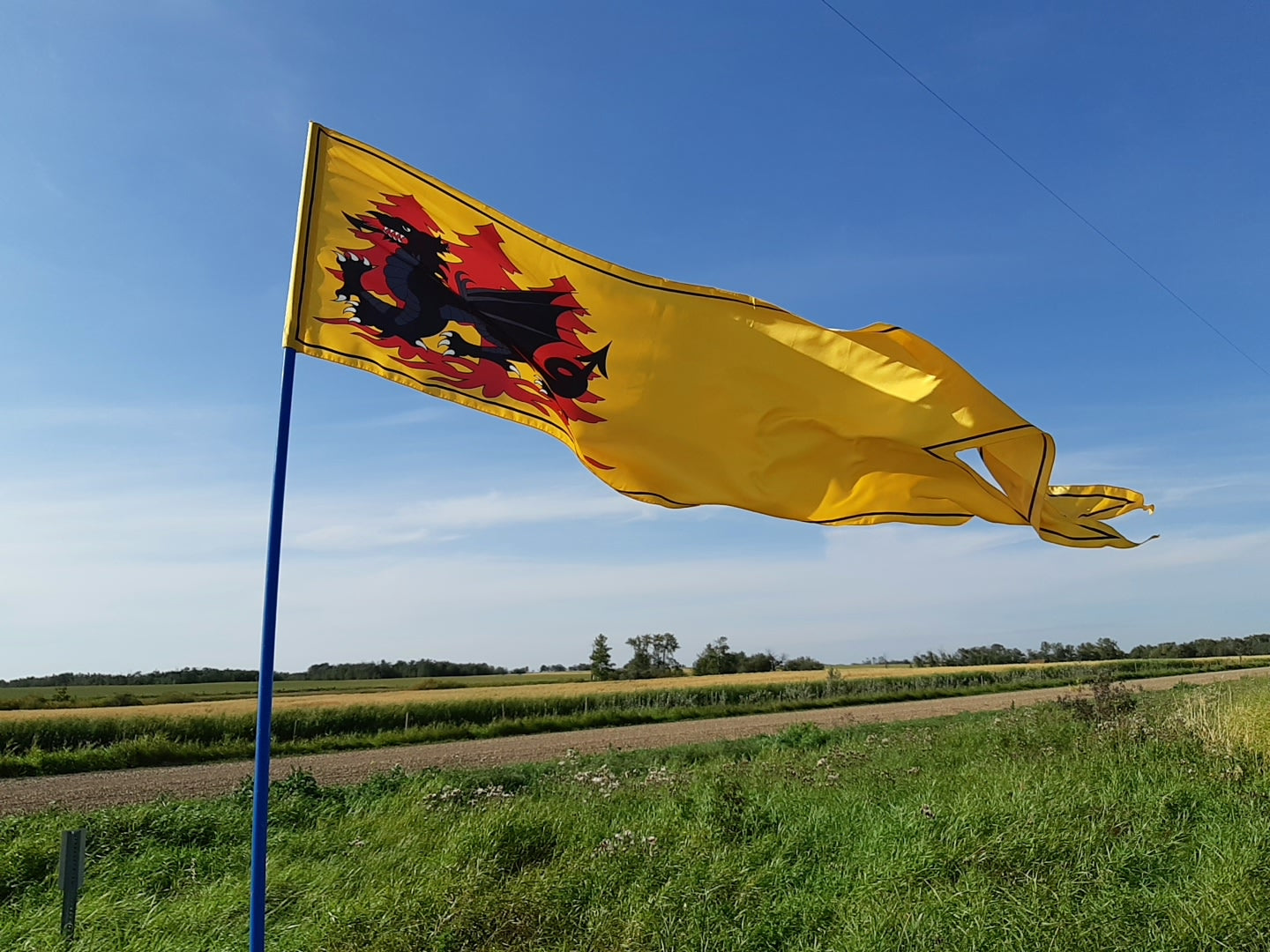 Drachenwald Swallow Tailed Banner (88" x 22") 100% Habotai Silk (18mm)