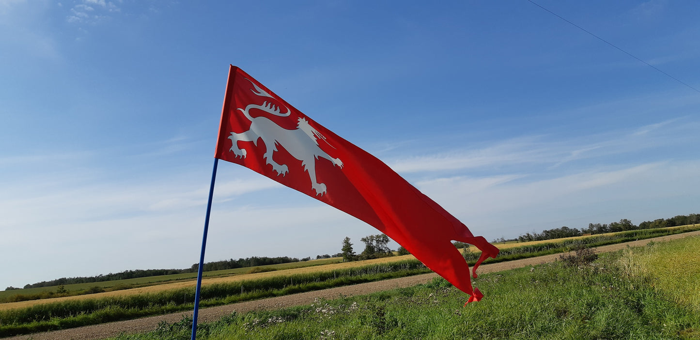 Ealdormere Kingdom Ensign Swallow Tailed Banner (88" x 22") 100% Habotai Silk (18mm)