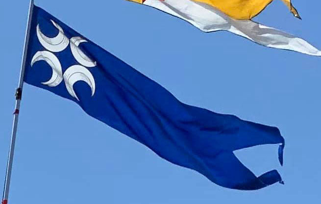 Caid Kingdom Populace Swallow Tailed Banner (88" x 22") 100% Habotai Silk (18mm)