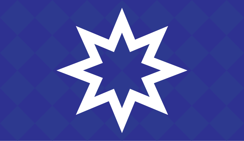 Tir Righ Populace Flag 52" x  30" 100% Habotai Silk (Principality of An Tir)